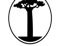 Funny Tree