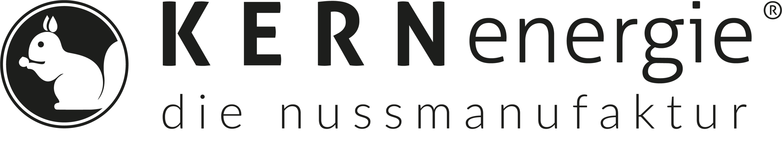 KERNenergie